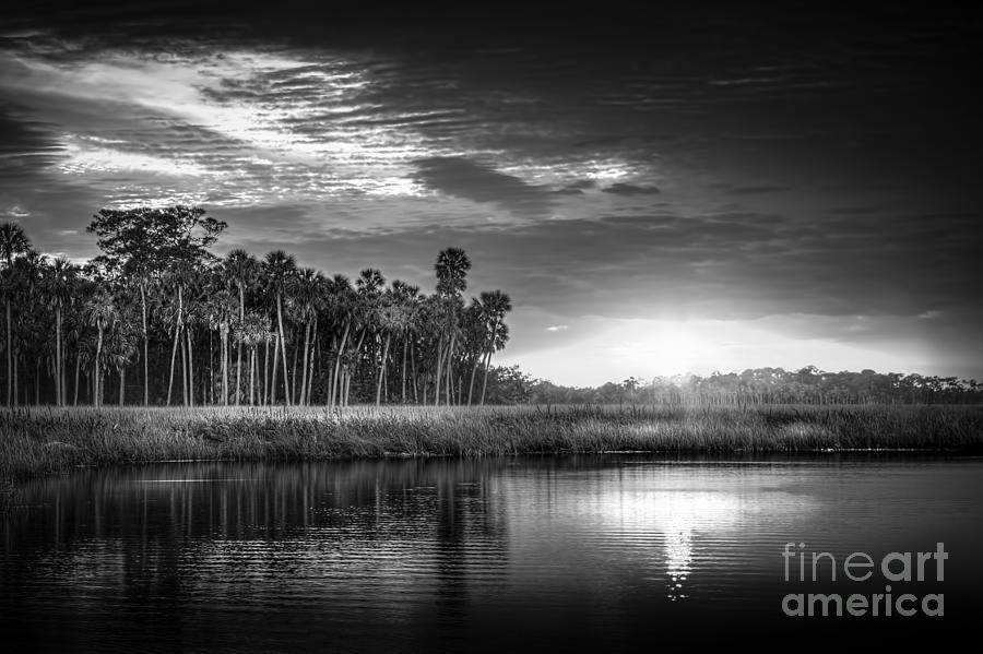 Bayou Sunset-b/w Photograph by Marvin Spates