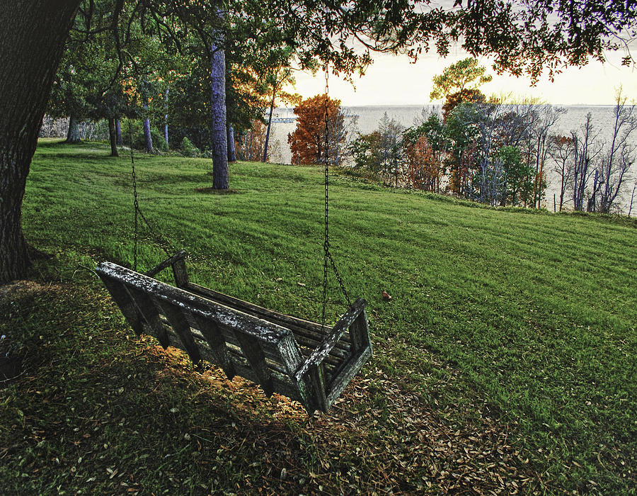 Bayview Swing on a August Day Digital Art by Michael Thomas