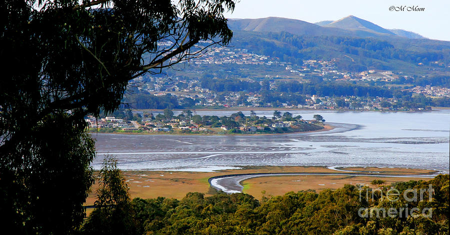 Baywood Estuary Photograph by Tap On Photo