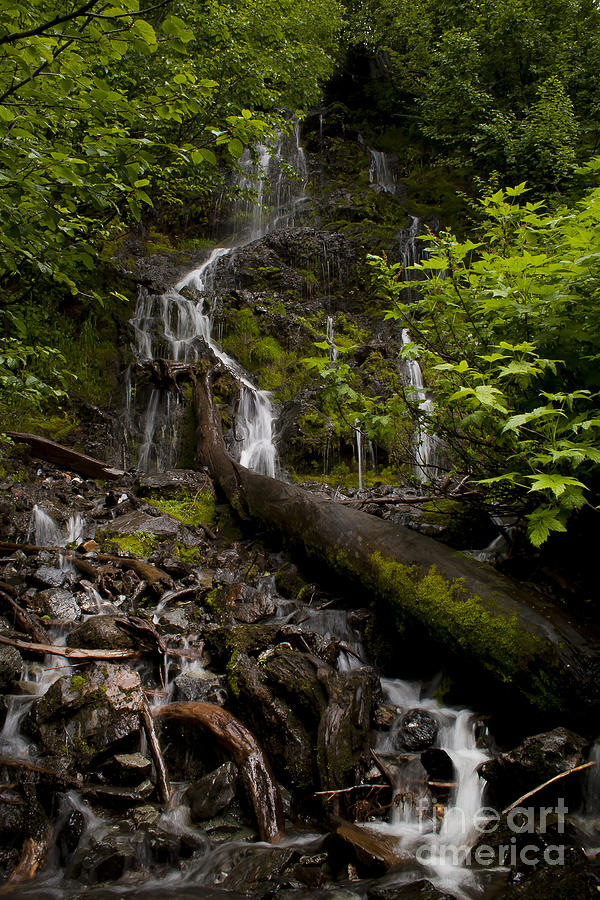 BC Waterfall   #0028 Photograph by J L Woody Wooden
