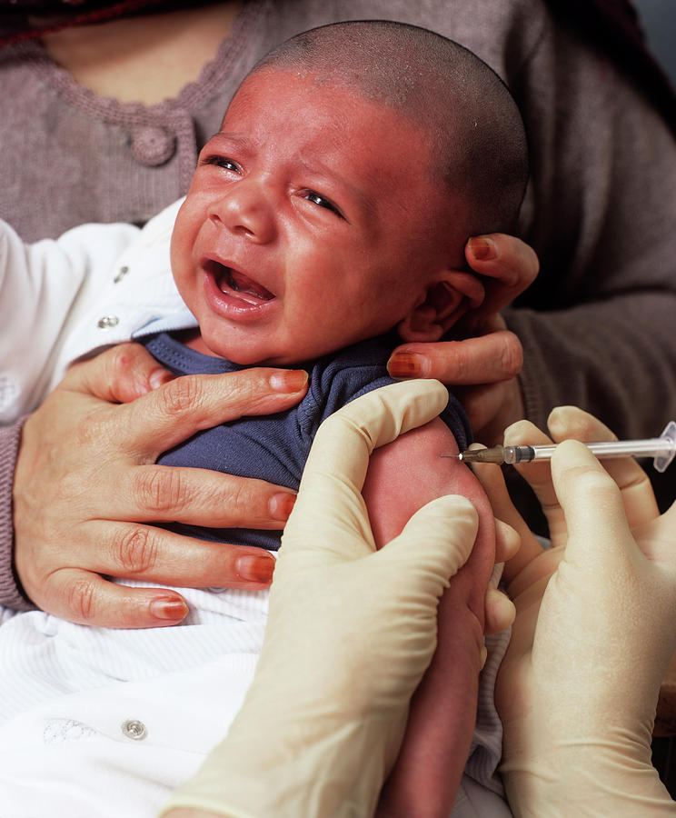 Bcg Vaccination Photograph by Mark Thomas/science Photo Library
