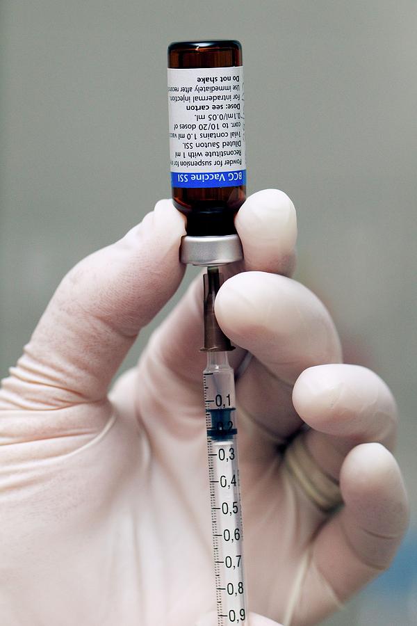 Bcg Vaccine Photograph by Mark Thomas/science Photo Library - Fine Art ...