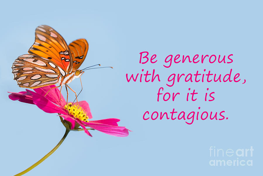 Be Generous Photograph by Sari ONeal