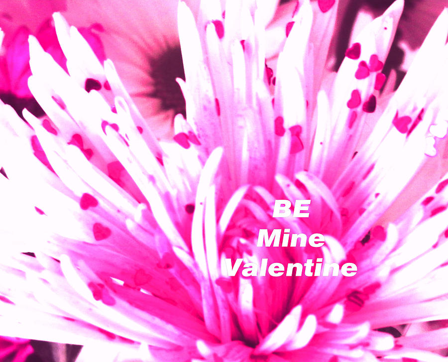 Be Mine Valentine Photograph by Belinda Lee