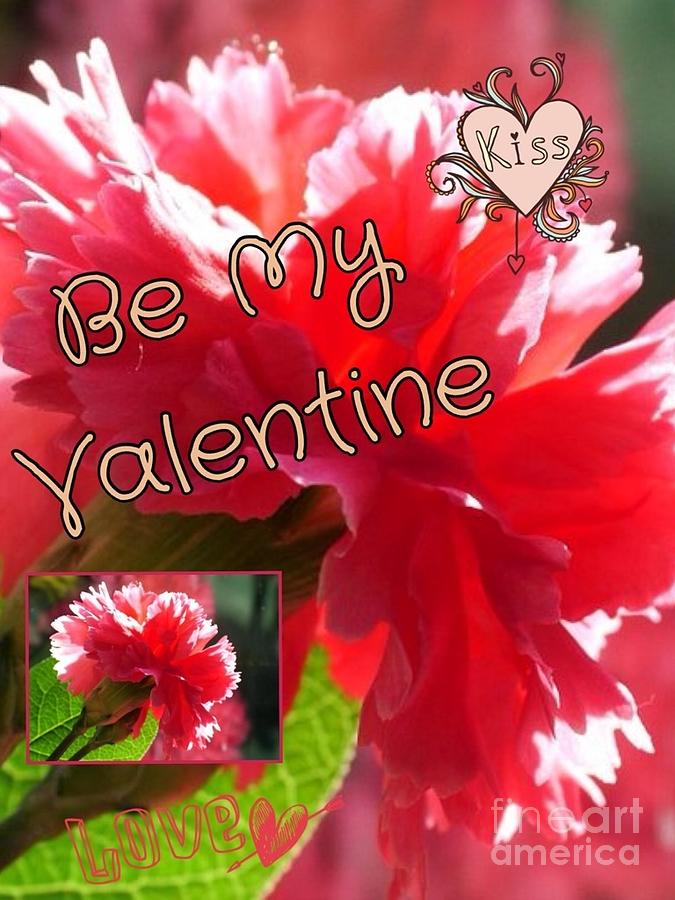 Be My Valentine Carnation Photograph by Joan-Violet Stretch
