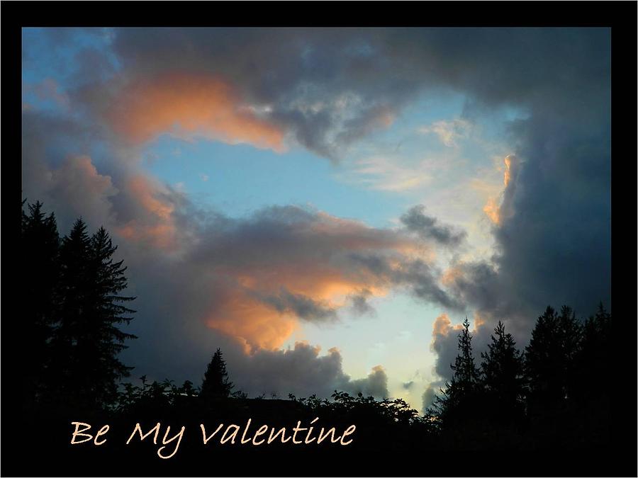 Be My Valentine Photograph by Gallery Of Hope 