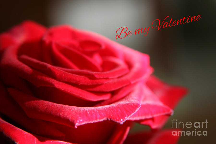 Be My Valentine  Photograph by Lynn England