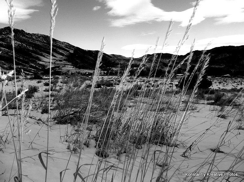 Long Photograph - Be Quiet Be Still by Misty Herrick Long Photograph - Be Quiet Be Still by Misty Herrick