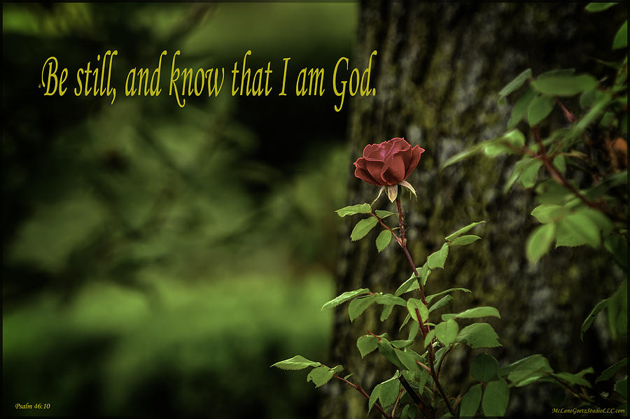Be still and know that I am God Photograph by LeeAnn McLaneGoetz McLaneGoetzStudioLLCcom