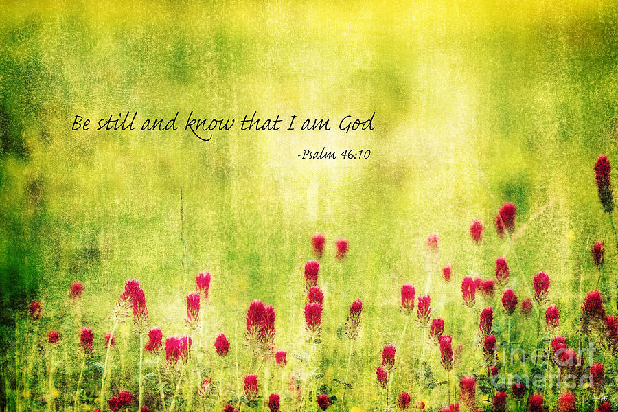 Flower Photograph - Be still and know that I am God by Scott Pellegrin