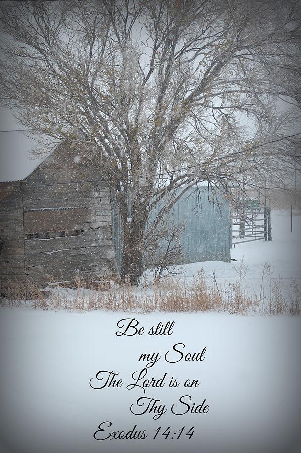 Winter Photograph - Be Still My Soul by Penni Chappell