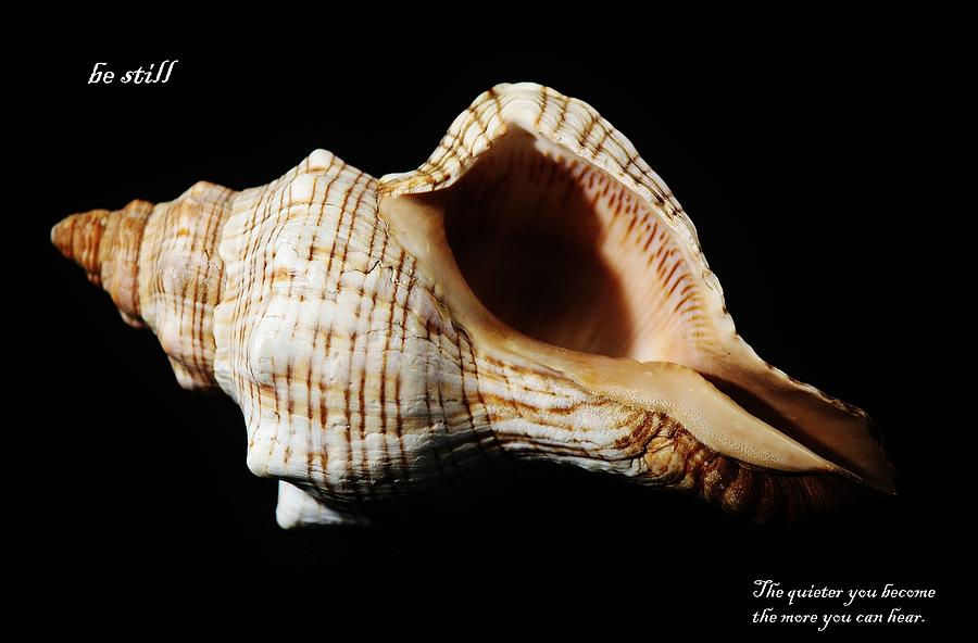 Shell Photograph - Be Still by Paulette Thomas