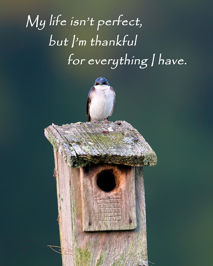 Inspirational Photograph - Be Thankful by Bill Wakeley