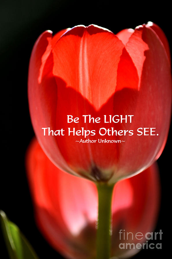 Be The Light Photograph by Deb Halloran