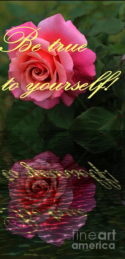 Be True to Yourself Rose Reflection Photograph by Barbara A Griffin