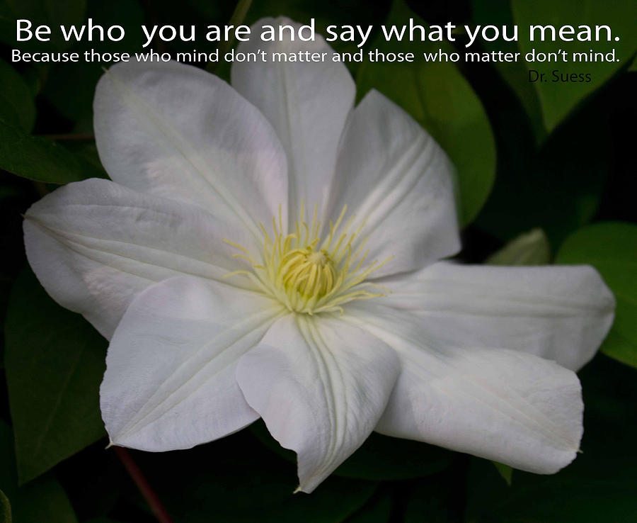 Be Who You Are Photograph by Sandra Clark