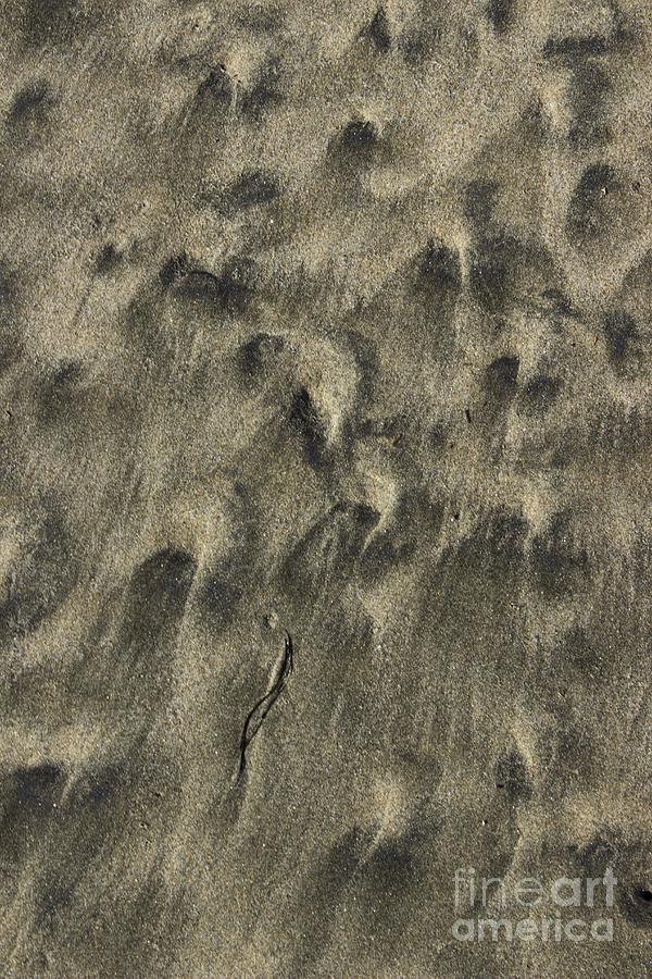 Beach Abstract 06 Photograph by Morgan Wright