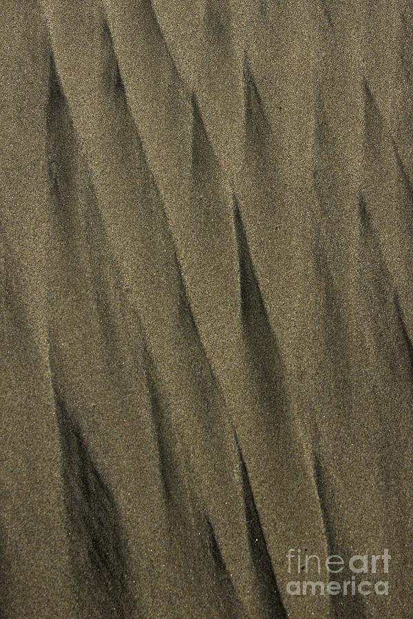 Beach Abstract 08 Photograph by Morgan Wright