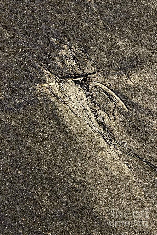 Beach Abstract 11 Photograph by Morgan Wright