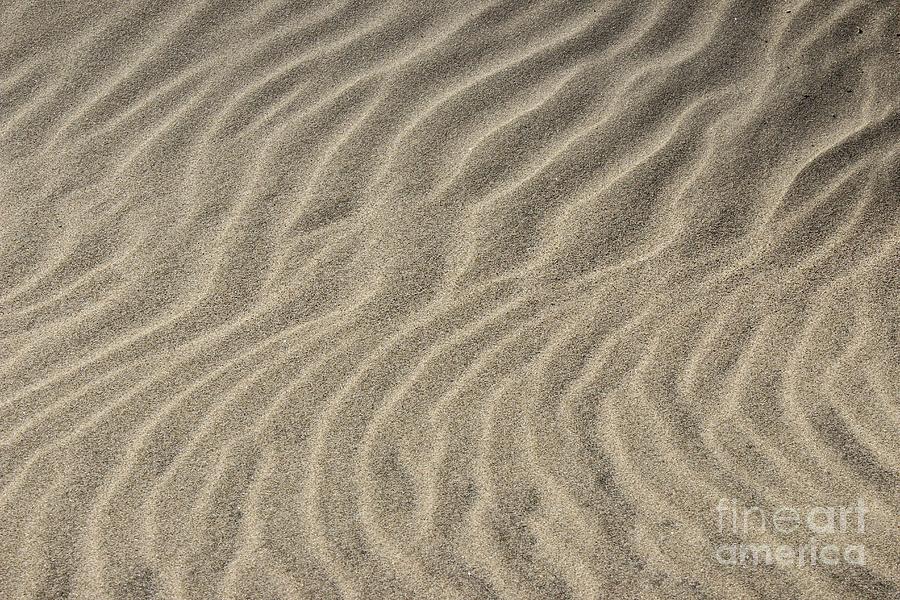 Beach Abstract 13 Photograph by Morgan Wright