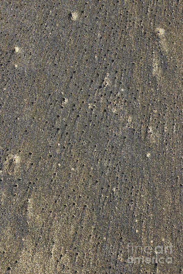 Beach Abstract 14 Photograph by Morgan Wright