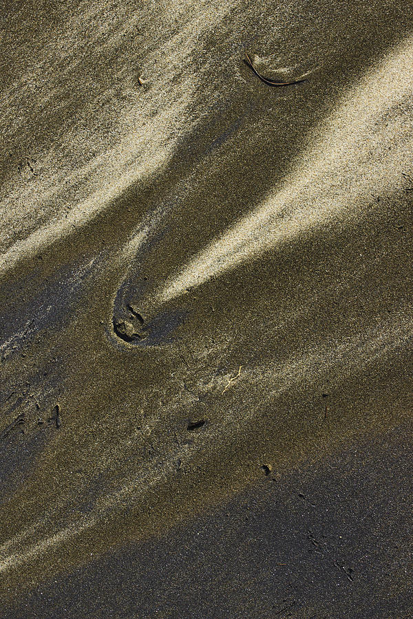 Beach Abstract 18 Photograph by Morgan Wright