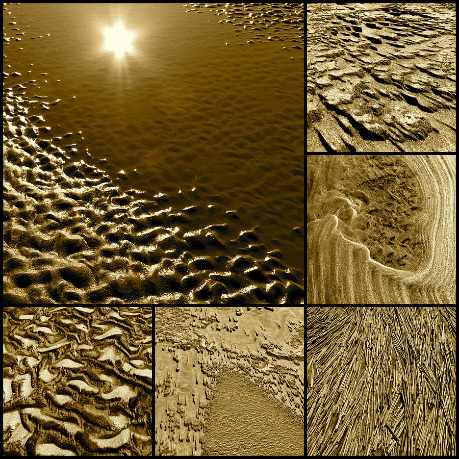 Beach Abstracts Collage Photograph by Jean Wright