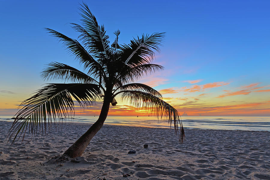 Beach And Coconut Trees Photograph by Monthon Wa