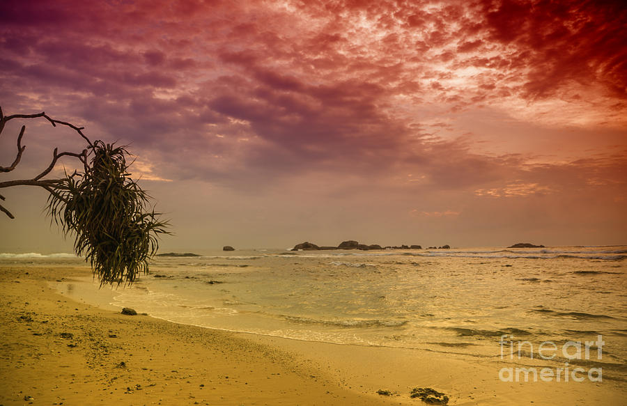 Beach and Sunset Photograph by Gina Koch