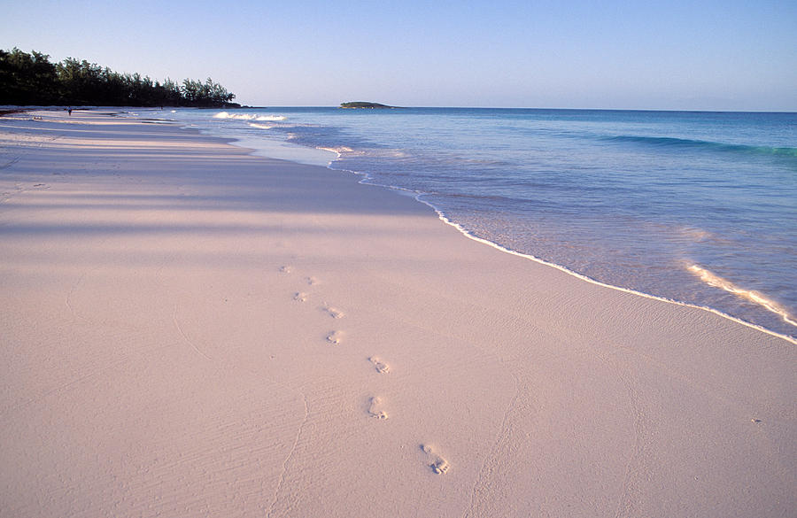 Beach Photograph by Anonymous