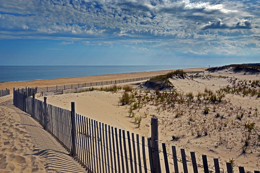 Beach at Cape Henlopen Photograph by Bill Swartwout