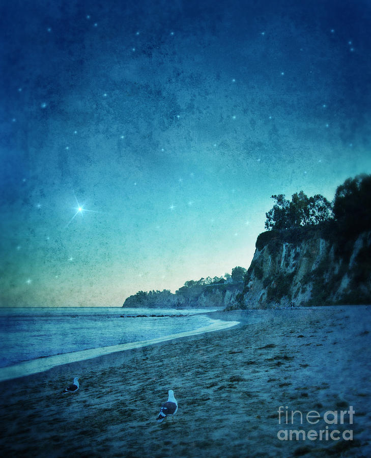 Beach at Night Photograph by Jill Battaglia