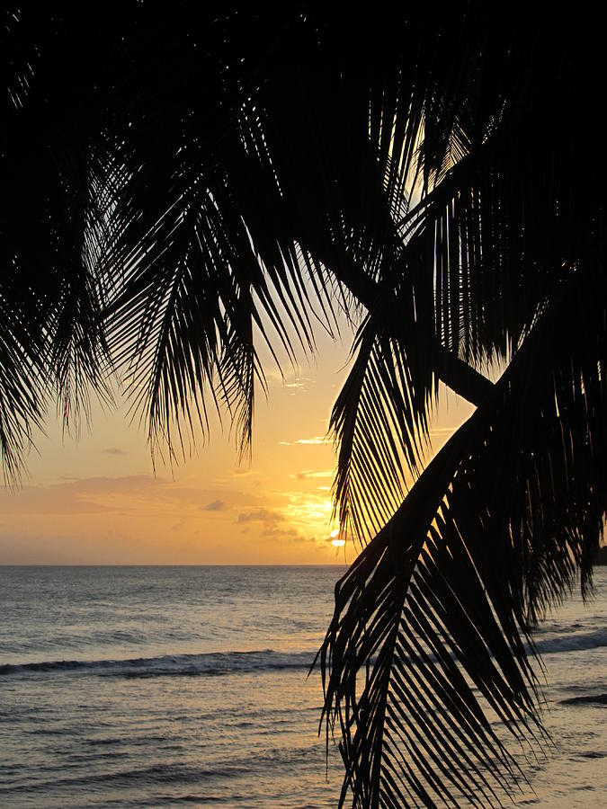 Beach at Sunset 1 Photograph by Anita Burgermeister