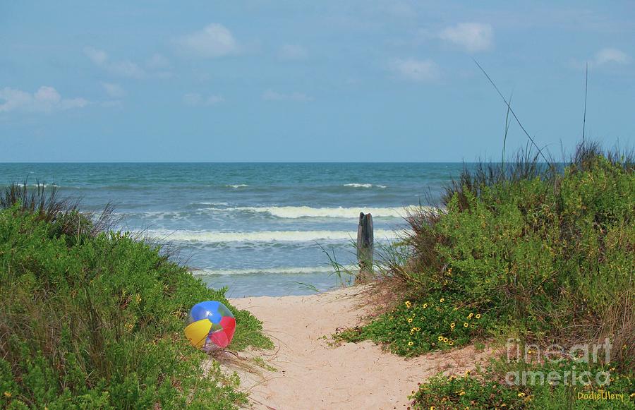 Beach Ball Photograph by Dodie Ulery