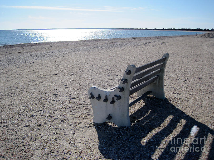 Beach Bench Photograph by Lynellen Nielsen