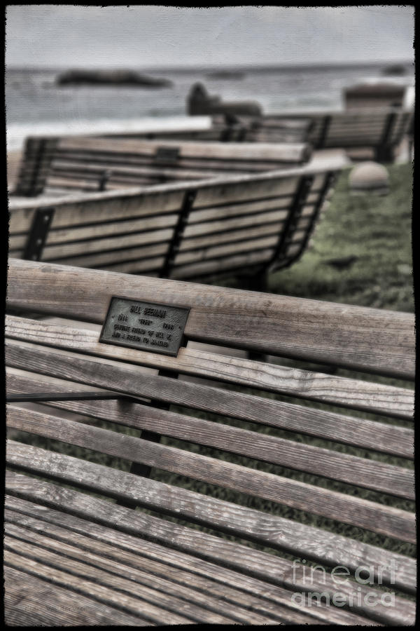 Beach Benches Photograph by Clare VanderVeen