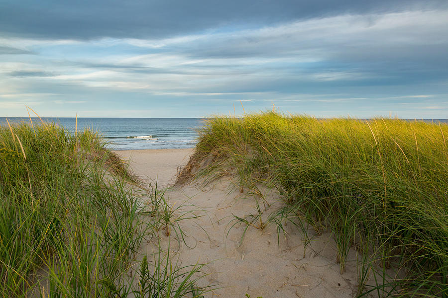 Beach Photograph by Bill Wakeley