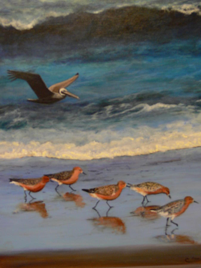 Beach Birds Painting by Catherine Hamill