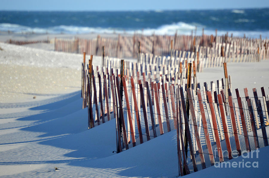 Beach Blue Shadows Photograph by Lynellen Nielsen