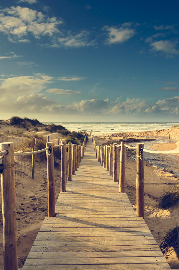 Beach Boardwalk Photograph by Marco Oliveira