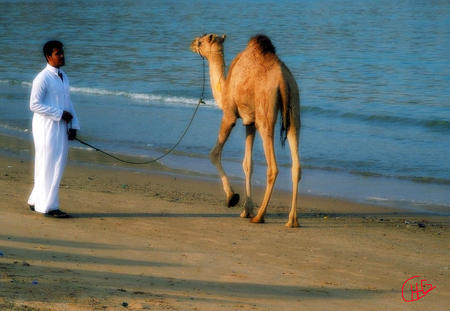 Beach Photograph - Beach Camel Walk Sinai Egypt by Colette V Hera Guggenheim