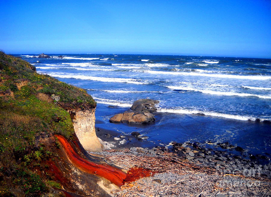 Beach Colors Photograph by Marilyn Diaz - Fine Art America