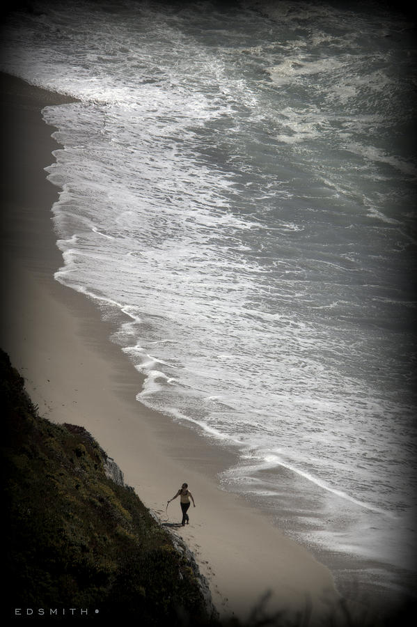 Beach Comber Photograph by Edward Smith