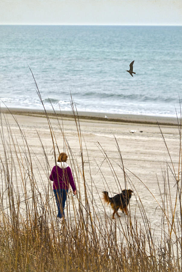 Beach Companions Photograph by Sandi OReilly