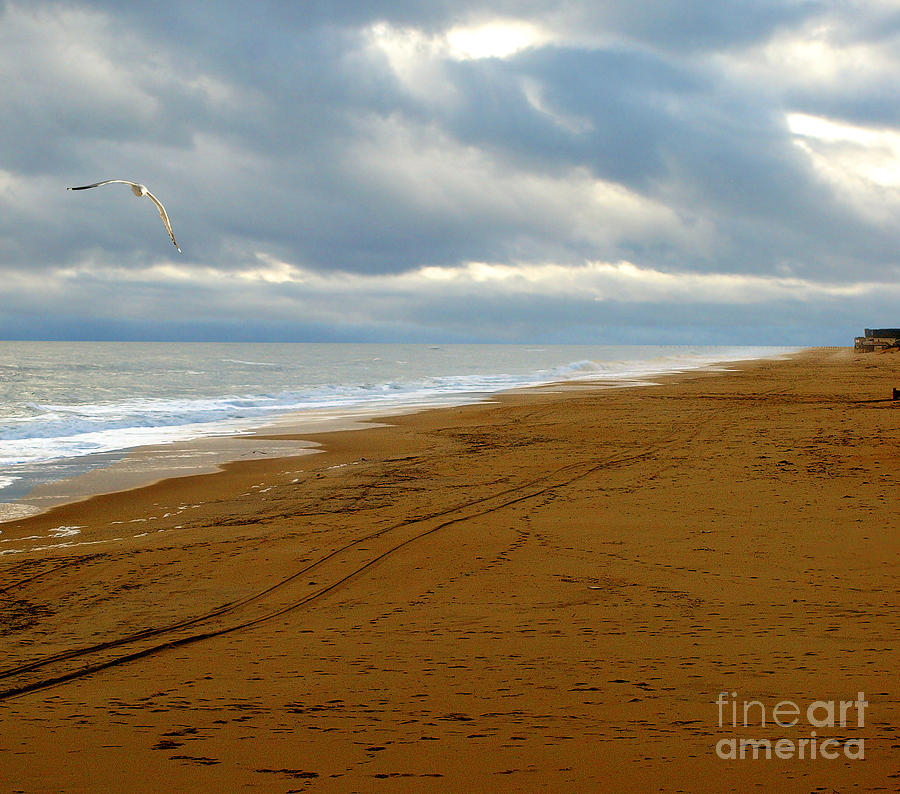 Beach Days 2 Photograph by Raymond Earley
