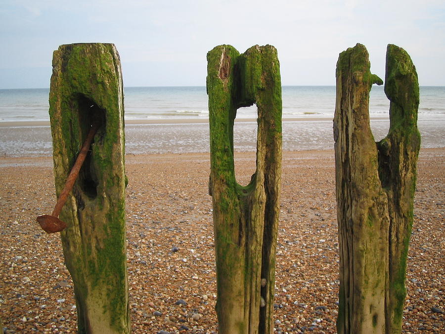 Beach Decay Photograph by Louise Morgan