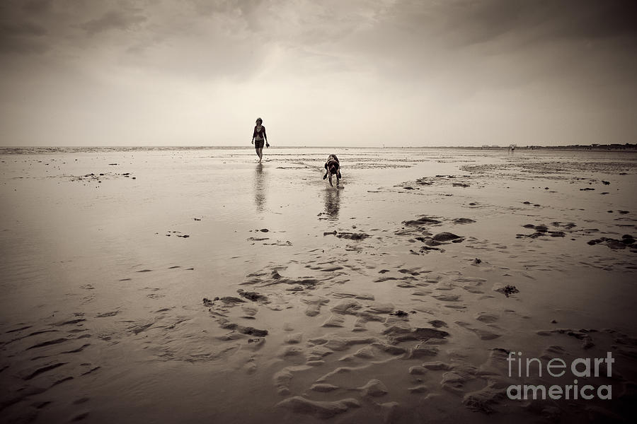 Dog Photograph - Beach Dog by Lee Martin