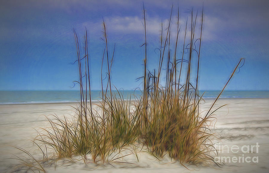 Beach Dream Photograph by Dave Bosse