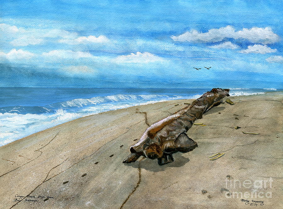 Beach Drift Wood Painting by Melly Terpening