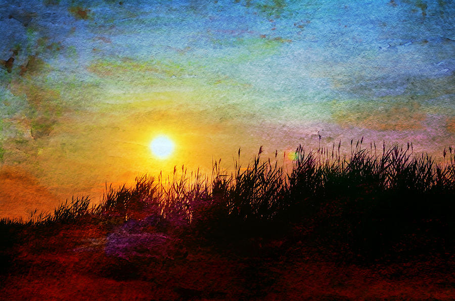 Sunset Photograph - Beach Dune Sunset by Laura Fasulo